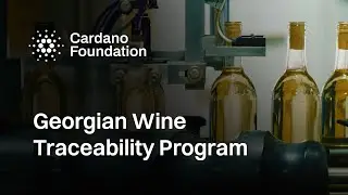 Traceability from Grape to Glass: Cardano Foundation&rsquo;s Partnership with Bolnisi Wine