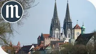 Auf den Spitzen des Regensburger Doms St. Peter