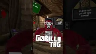 8-й день присоединения к моему фан-коду GT!!!!! @_GorillaTagVR #community #gorillatag #laaag4aa #...