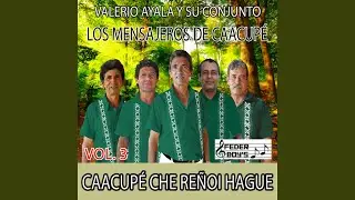 Che sype guara