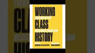 working Class History Everyday Acts of Resistance  Rebellion Noam Chomsky