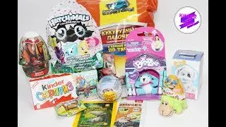 KMM #45. Hatchimals(Хетчималс ). Собачки, Бременские музыканты, Стикезы,  Зайки Пиглет и др.