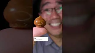 ASMR | Poop 💩 Jelly #DoctorTristanPeh
