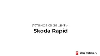 Установка защиты на Skoda Rapid 2020 год. ORIS (BOSAL), арт. 72301
