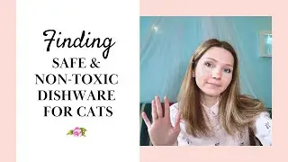 Finding safe and non-toxic dishware for CATS