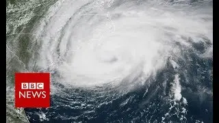 Hurricane Florence: 'Hunters' enter storm - BBC News