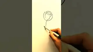 Rose Line Art Drawing #Shortvideo