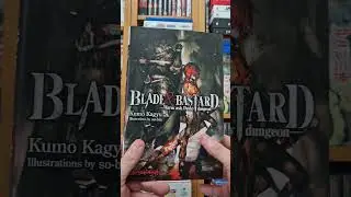 Blade & Bastard Light Novel Mini Review #lightnovels