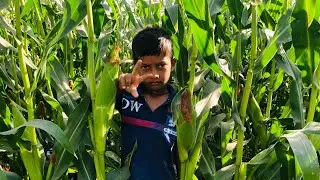 Dosto aaj ham aapko makka khet dikhaya @Makka#Mardvlog43#Viral