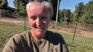 Cleaning Out the Coop! 💩 #video #freedomranch #chickens #cleaning #homestead #like  #subscribe