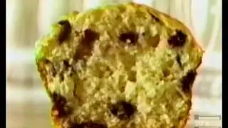 Eggo Toaster Muffins Commercial 1999