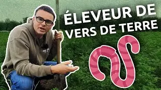 3 secrets d'un bon éleveur de vers de terre