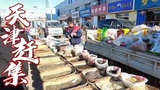 中国天津赶农村大集 寻找小时候的记忆 你会发现是一首热热闹闹 熙熙攘攘 充满生之乐趣的乐章/Chinese Market/4K