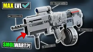 Helldivers 2- Baby Stalwart?! Its close but.. | MAX LVL Liberator Carbine Weapon Customization Guide