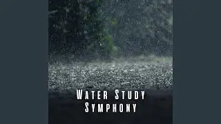 Calm Water Study Groove