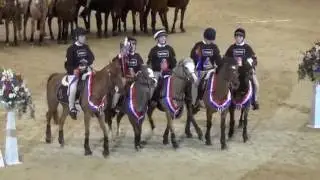 HOYS MOUNTED GAMES 2016