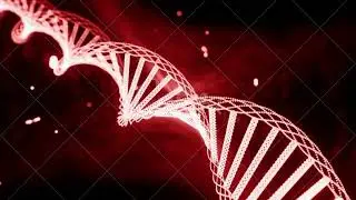 Health and DNA