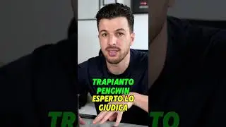 Esperto giudica