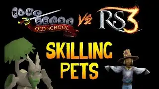 9HP - OSRS VS RS3 Skilling Pets | Runescape