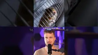 Ciężarówka sterowana przez chomika