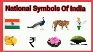 National Symbols of India | National symbols of India for Kids in English | Ziddutoons 