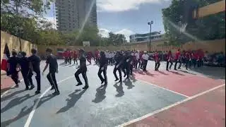 Marcha patriotica 2025 en el liceo Alma Rosa avances 2