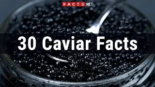 30 Caviar Facts About The Roe From The Sturgeon Beluga