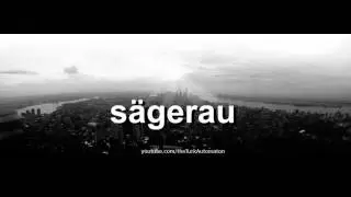 Как произносится s&auml;gerau на немецком языке?