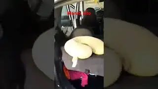#ATOMOBAIL