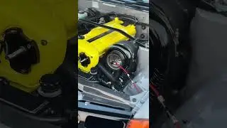 Views at Roll Racing BNE 📸 Full video is live! #rollracing #gtr #r32gtr #nissangtr #racing