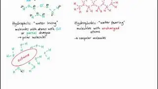 Hemoglobin.mp4