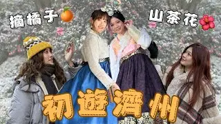 濟州之旅｜雪中漢拿山⛰️￼山茶花之丘🌸涯月邑￼好chill｜26-31.12.2025