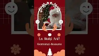 La Mulți Ani! Comenzi Scaune