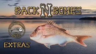 PB Snapper 80cm