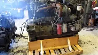 1984 Cummins Big Cam III Diesel Engine Running