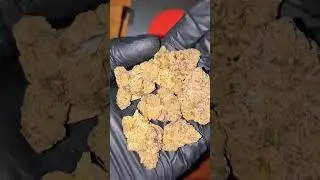 Superseed Grape Cookies (27% THC UK Medical)