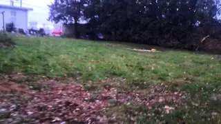 Shotgun pattern 30 20 10 and 5 yards
