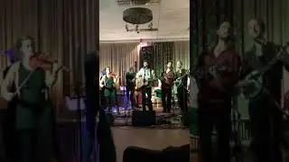 Raising Vibration - eddie lives, Strograss & Friends live @ Over Den Draad, Hoofdplaat NL, nov 2019