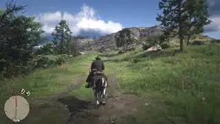 Лучшие настройки HDR в Red Dead Redemption 2 (PS5/Xbox Series X и ПК)