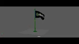 Flag Physics - Dynamics and Simulation