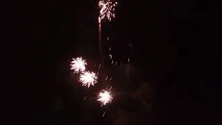 Nico Feuerwerk Raptor Batterie 10 Schuss