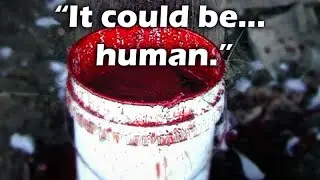 From Aliens at Pine Gap to a Bucket of Flesh.