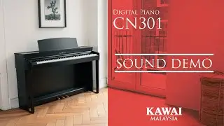 Digital Piano Kawai CN301Sound Demo