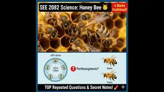 SEE Preparation: Top Repeated Questions from Honey Bee Chapter! 🎯_NEPAL