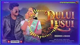 DULUI LUSUI || NEW HO MUNDA SONG 2026 || CHAUDHURI MUNDA  & SANJANA || #MSMUSICCREATION ||