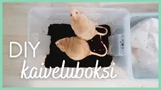 TEE SE ITSE: Kaiveluboksi kesyrotille 🐀