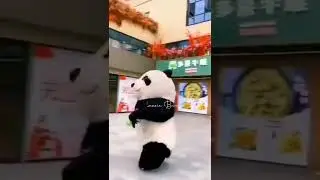 Funny Cute Panda #shorts #panda #lol #funny