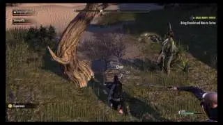 The Elder Scrolls Online: Funny Chat Moment