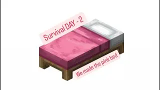 SURVIVAL DAY 2| WE HAVE A PINK BED FINALLY!!!| MINECRAFT SHORTS|