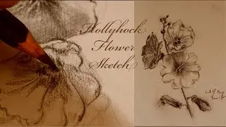 Botanical Illustrations: Holyhock Flowers | Sketching ASMR | Cottagecore | Slow Living